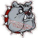 custom car magnet