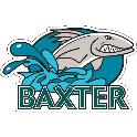 custom car magnet
